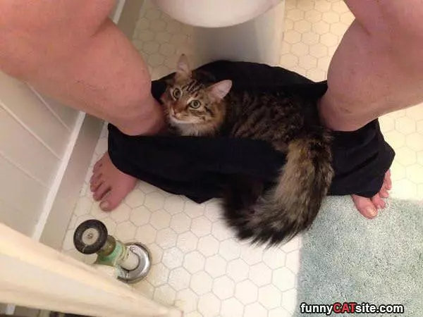 Quality Time