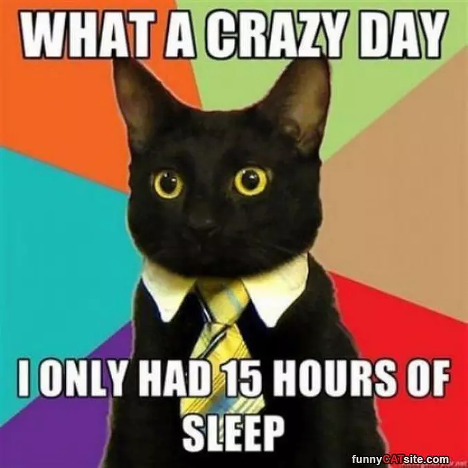 Crazy Day