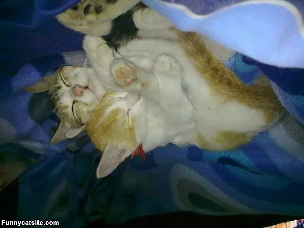 How We Sleep