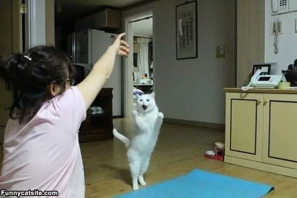 Learning To Dance