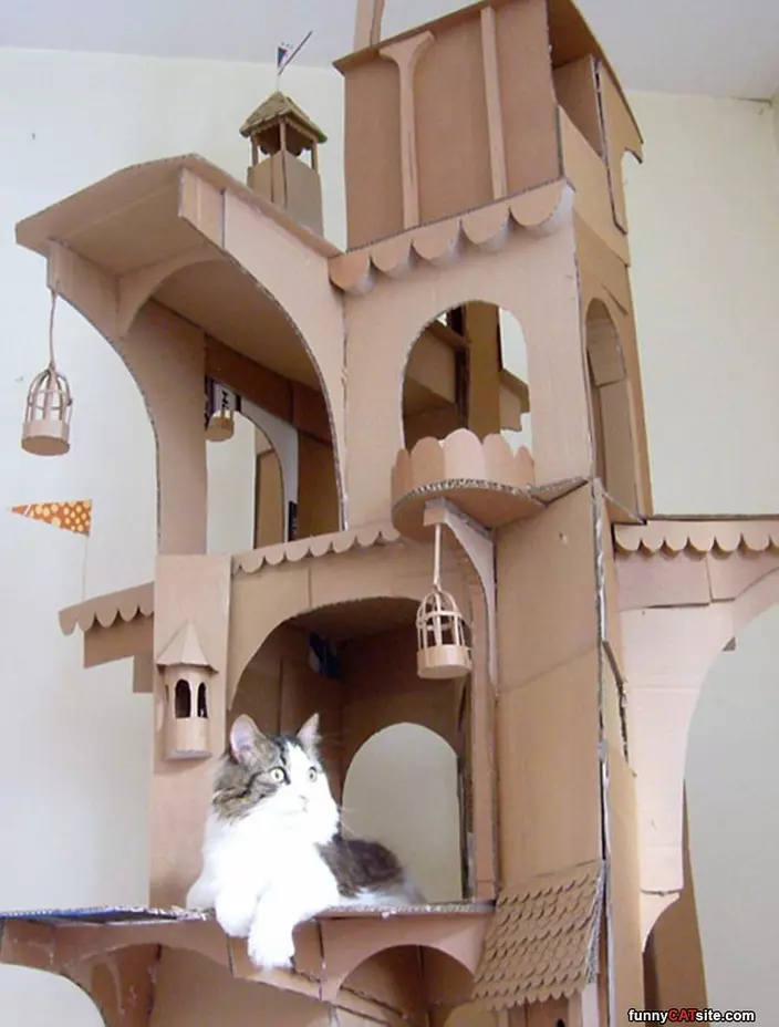 My Cat Castle