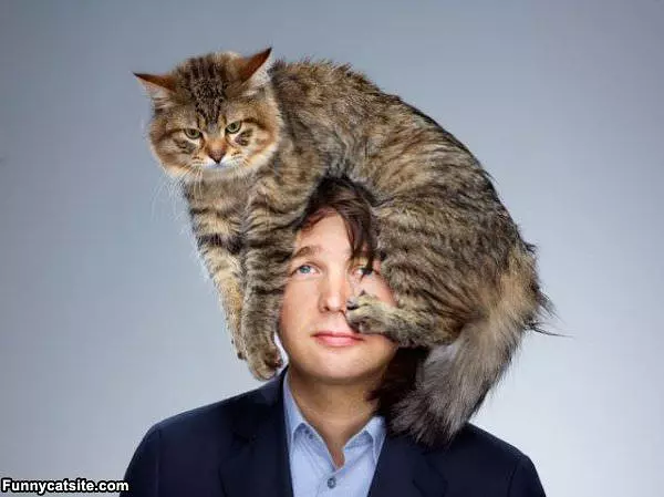 I Have A Cat Hat