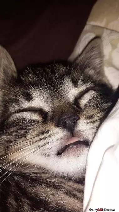 Sleeeeeeeeeeeeep
