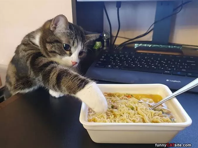 Noodles