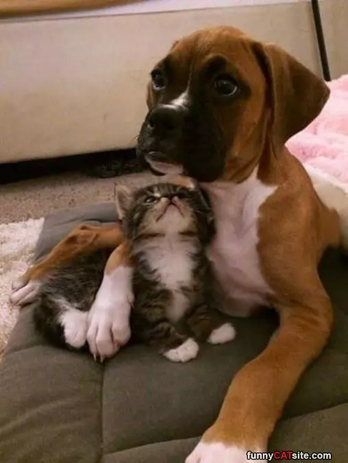 Tell Me Another Story