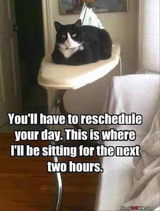 You Have To Reschedule