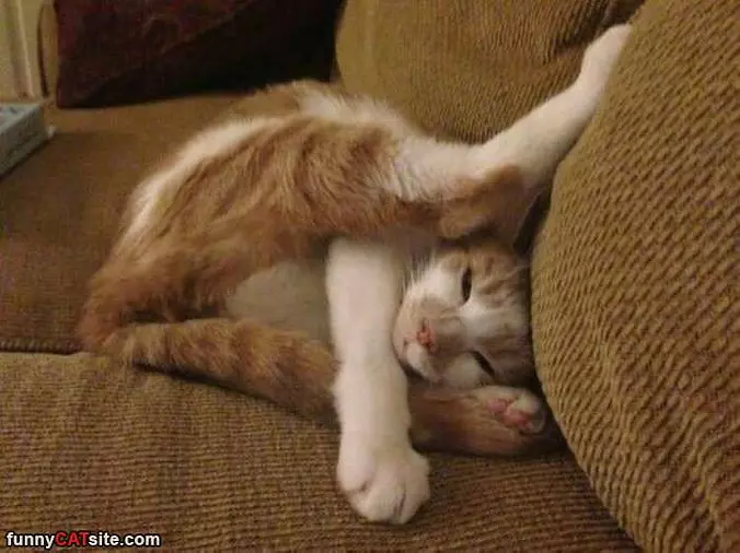 Asleep However I Want