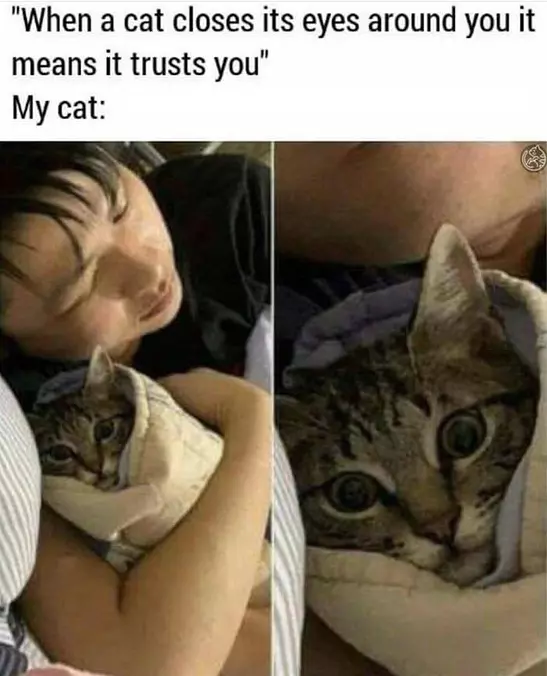 So Much Trust