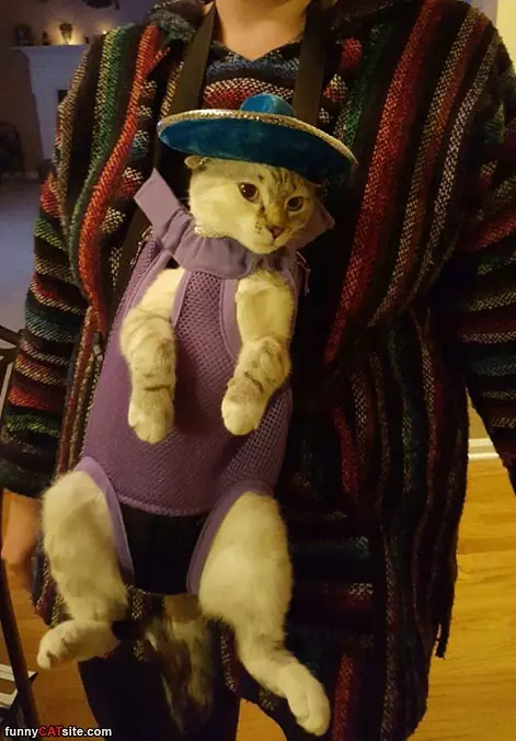 Cat Carrier