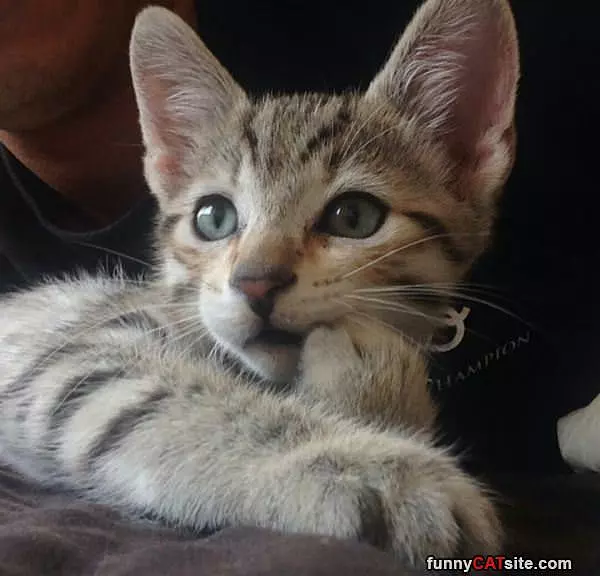 Hey You Whats Up