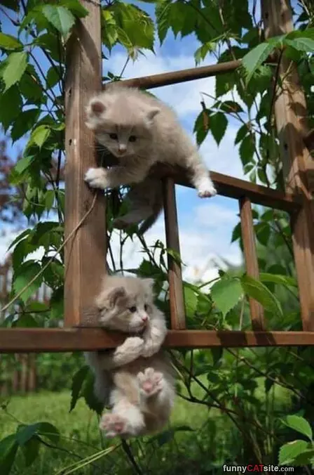 Climb Faster