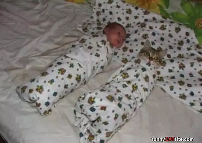 Little Burritos