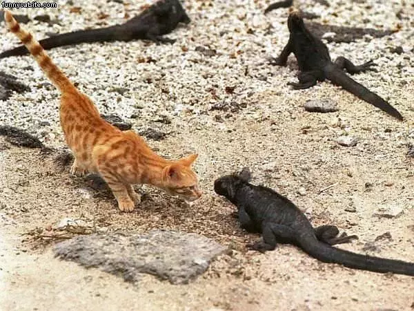 Lets Be Friends