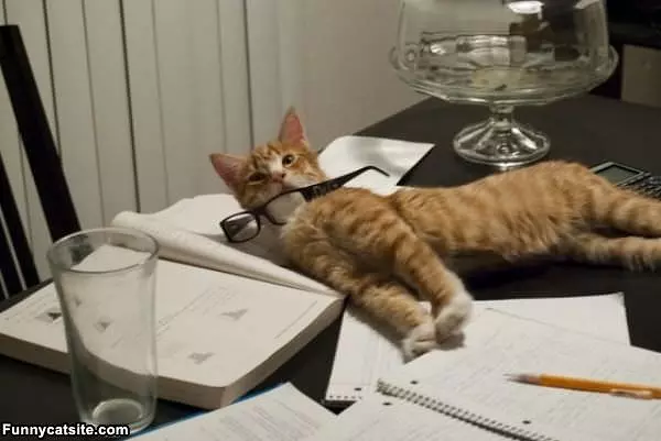 I Had A Long Day