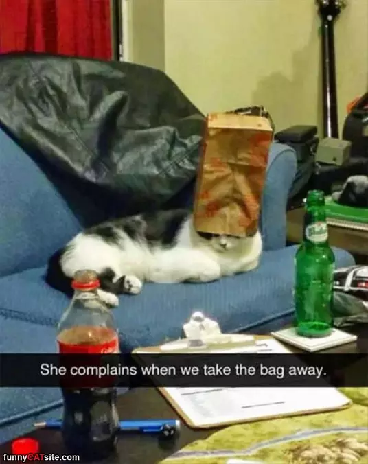 Its My Bag Now