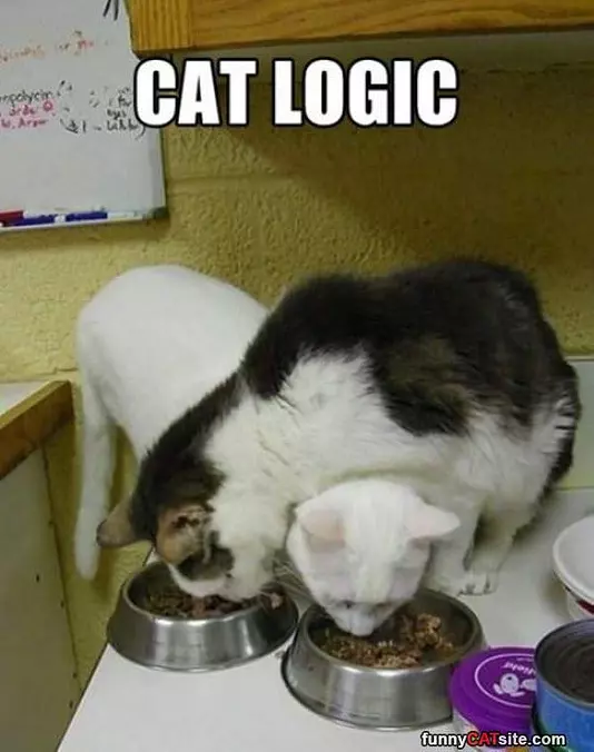 Cat Logic