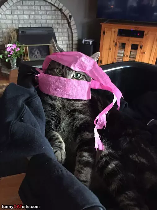 I Am The Pink Ninja