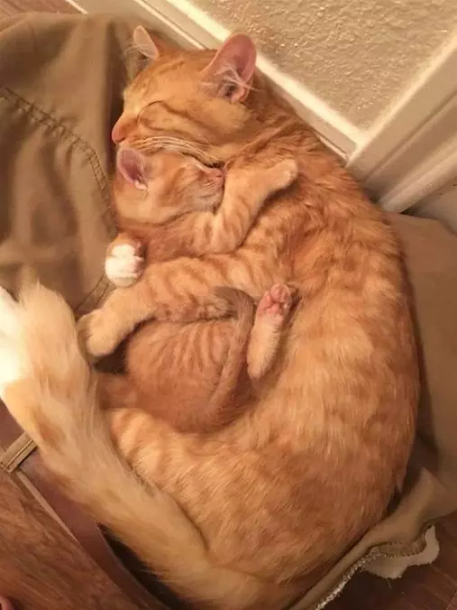 Getting All Hugged Up
