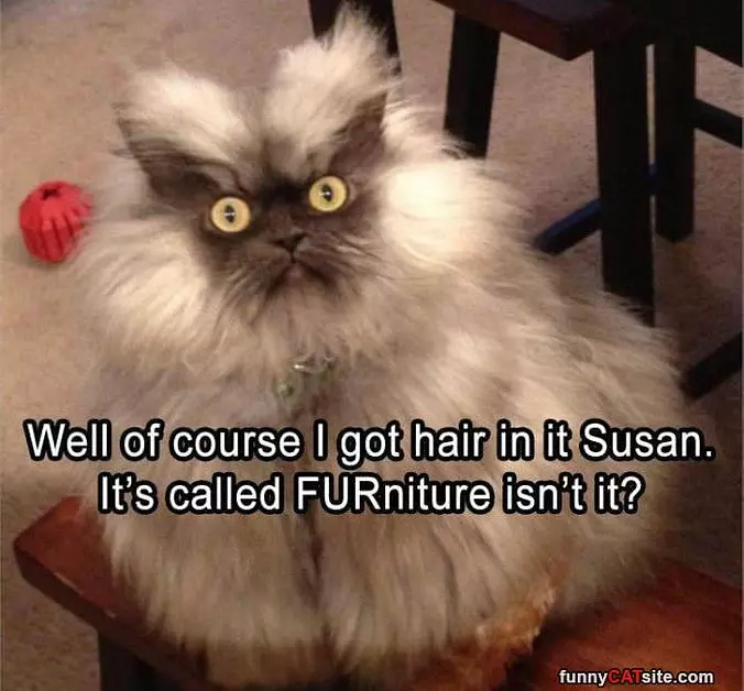 Furniture