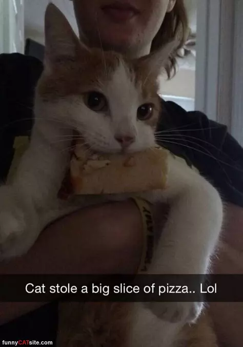 Stole A Slice