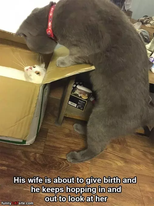 About To Give Birth