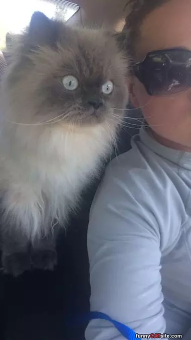 What Big Eyes You Have