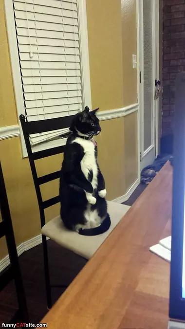 Ready For Dinner Now