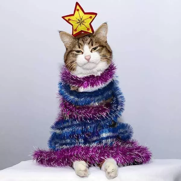 Always Be Very Jolly