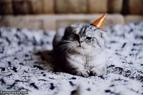 Its Mah Birthday