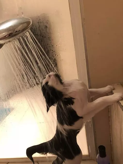 Taking A Shower