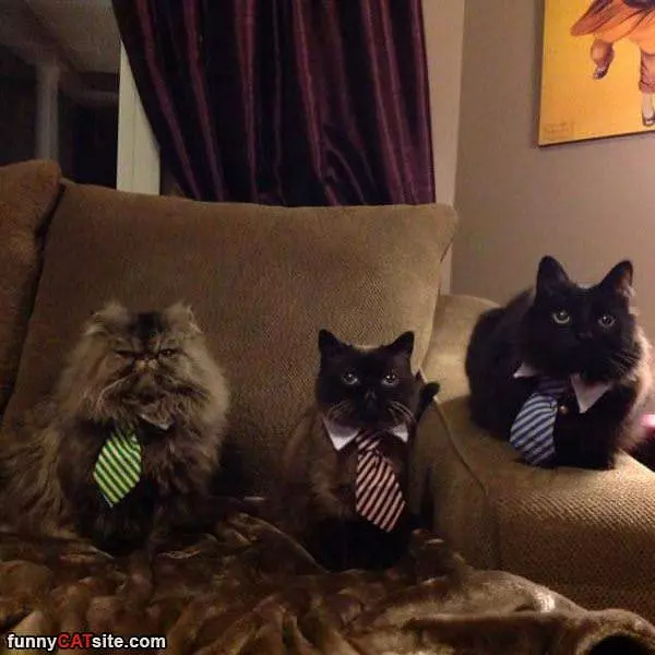 All Dressed Up For A Fun Day