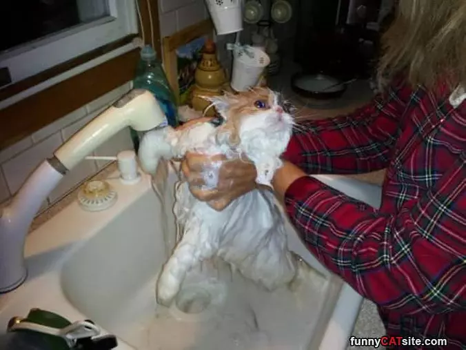 Getting A Fun Bath