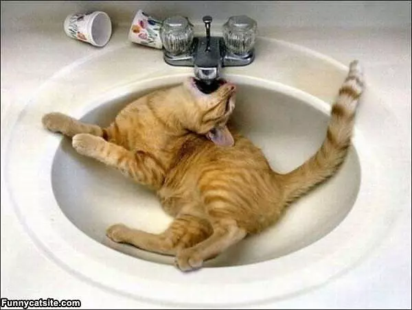 I Want Water Now