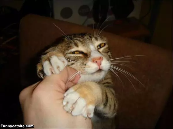 I Not Happy With You