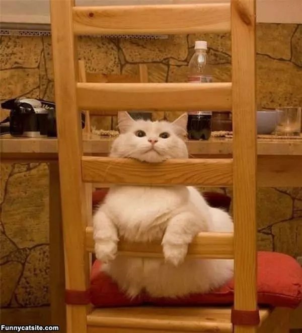Sits How I Want To