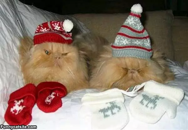 Warm For Christmas