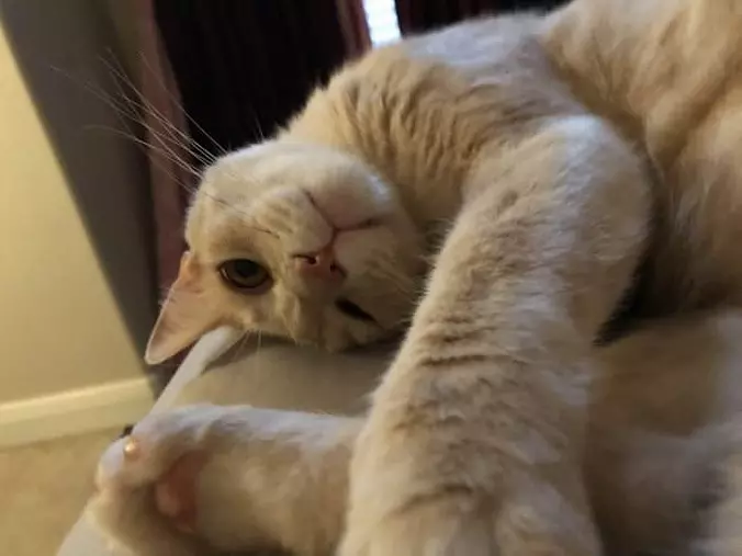 Very Relaxed