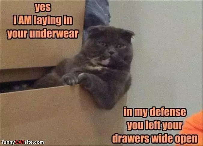 In My Defense