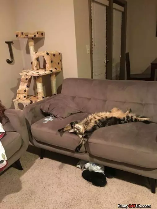 Sleep Wherever I Please