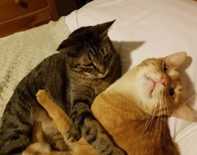 Together