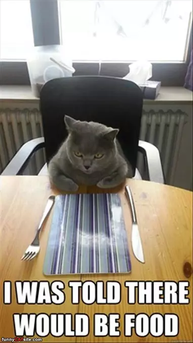 Where Is The Food