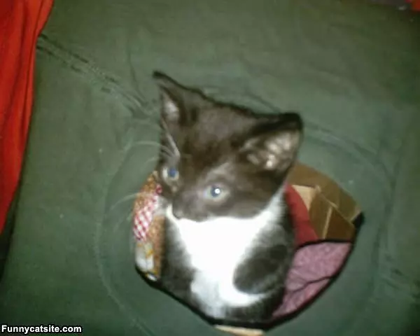Little Evelyn Peekaboo