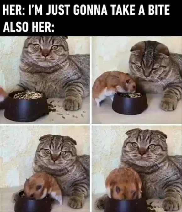 Just Going To Take A Bite