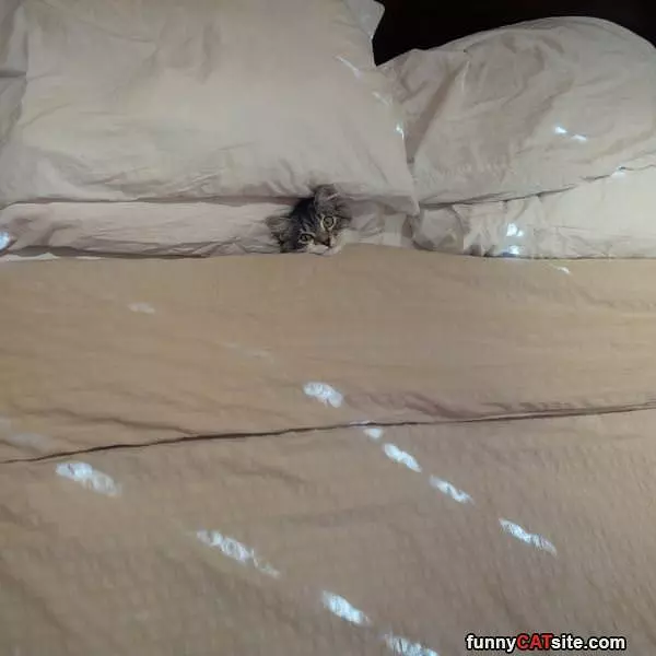 Im Stuck