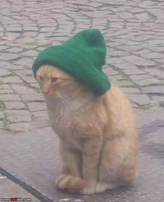 Keeping My Head Warm