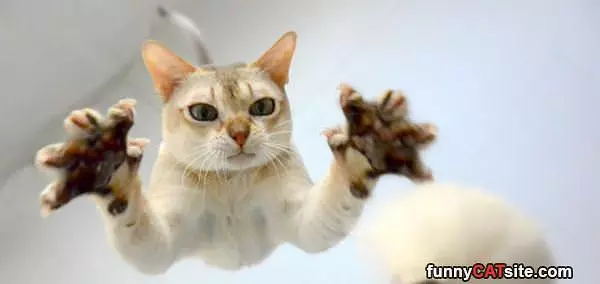 Jump Around