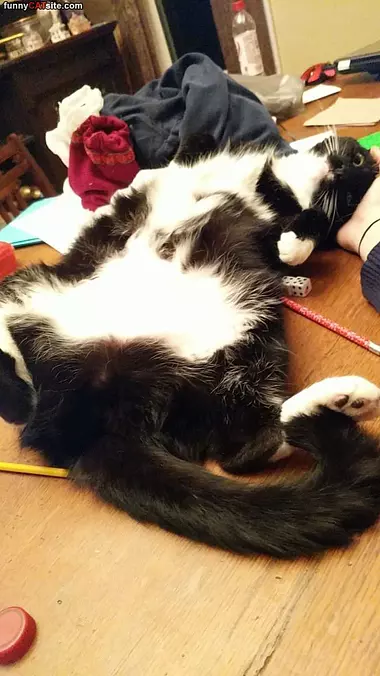 Lounging