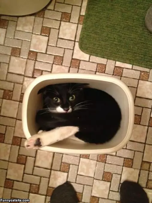 Ok I Am Stuck