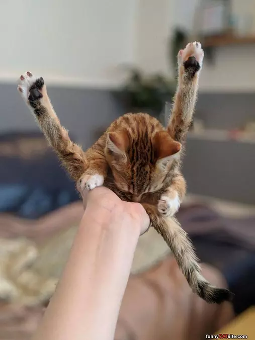 Yeaaaaa Hold Me