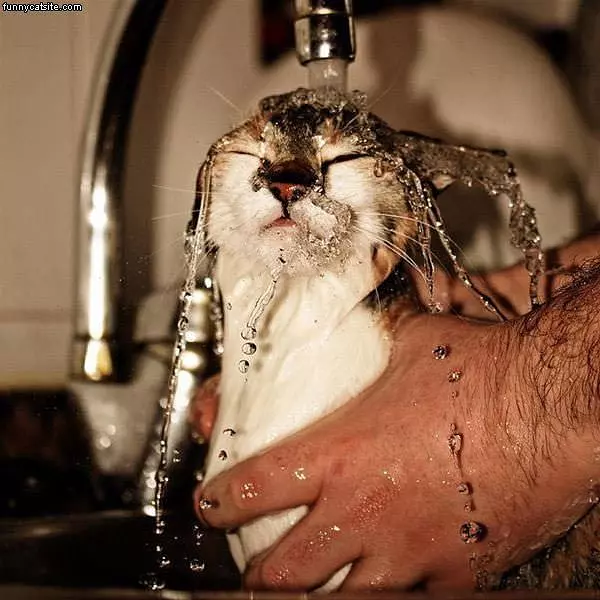 Time For A Washing